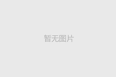 舜兴控股集团三大主营业务