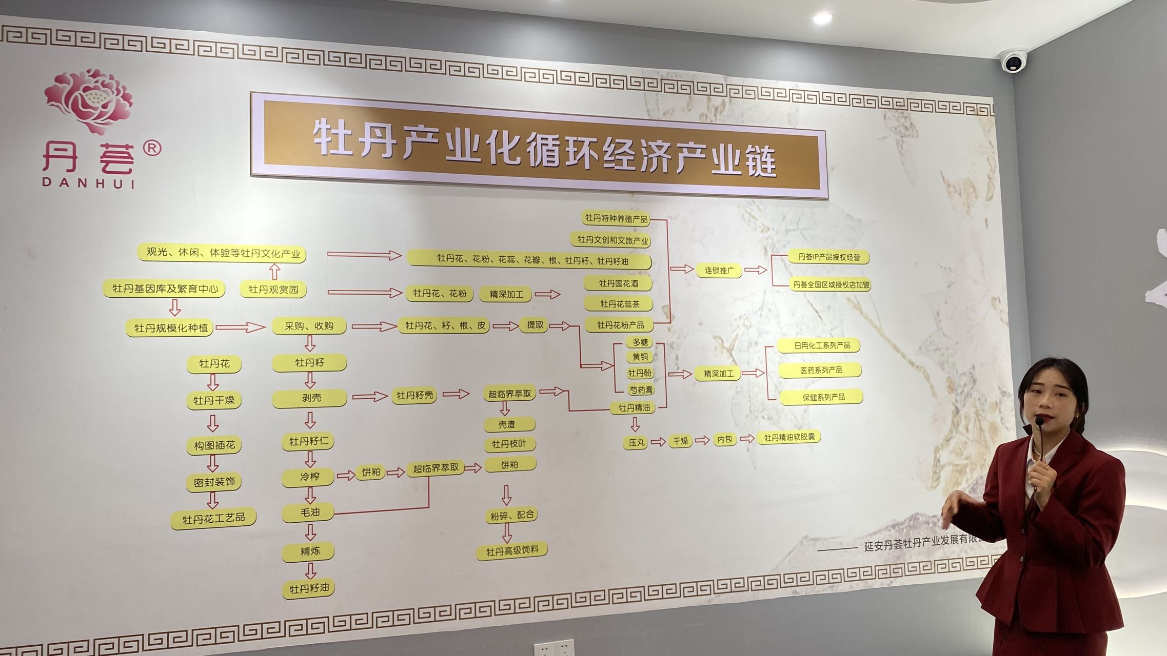 文旅康养上升国家战略  牡丹产业将迎来大发展(图7)