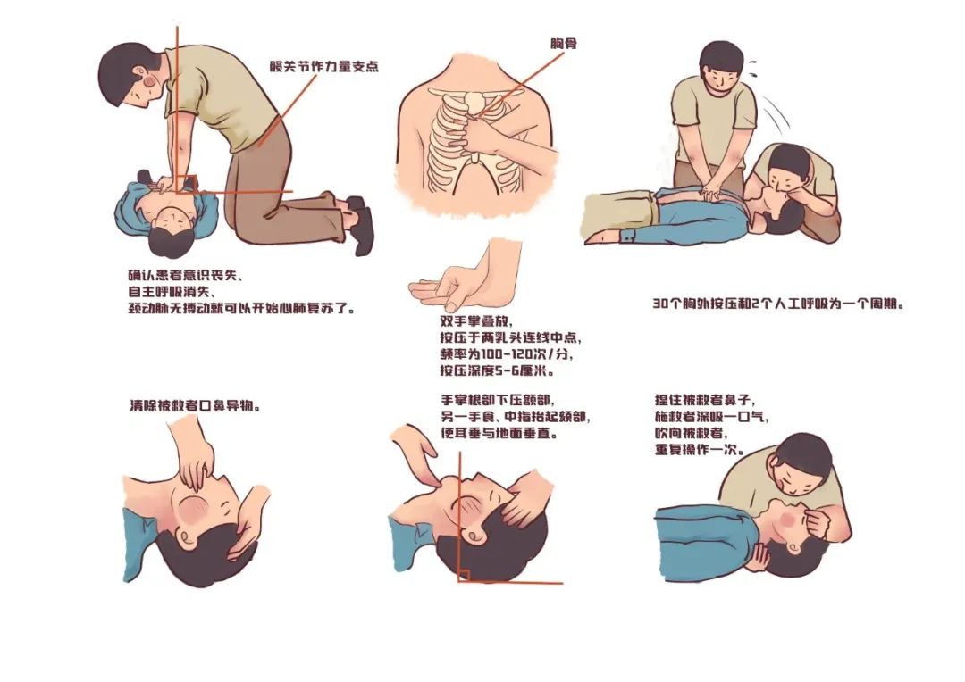 朴泰康养心肺复苏培训 || 提高救助能力 营造安全氛围(图1)