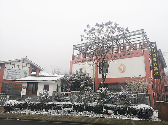 舜兴控股集团与慈海集团战略合作签约仪式圆满举行(图4)
