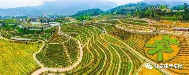 【天府康养】深耕养老市场 开发康养小镇(图15)